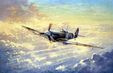 Flying Spitfire Wallpaper by Kevin Walsh | Wallsauce UK