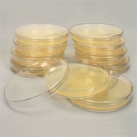 Luria Broth Agar, Prepoured Plates | Carolina.com