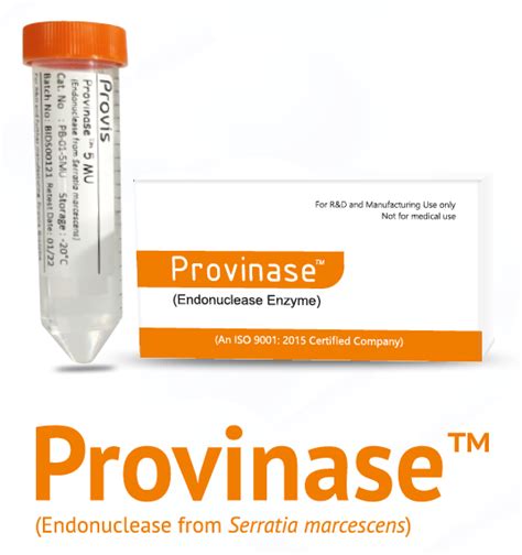 Provinase™ Endonuclease Enzyme | GMP | Animal-Free | Purity ≥ 99% ...