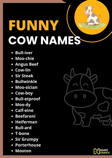 Funny Cow Names: Moo-tastic Laughter Galore! - Names Crunch