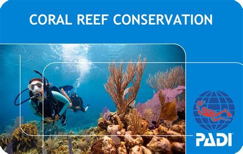 PADI Coral Reef Conservation (Bali) | Bali Dive Resort - Pebble & Fins