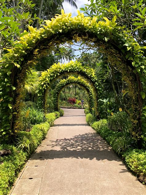 Singapore Botanic Gardens - of the comely