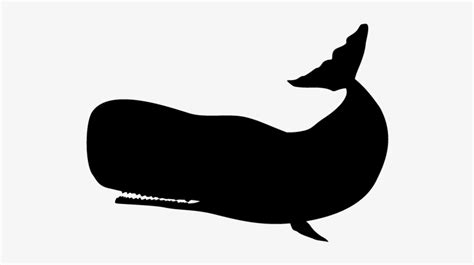 View All Images-1 - Transparent Whale Silhouette - Free Transparent PNG ...