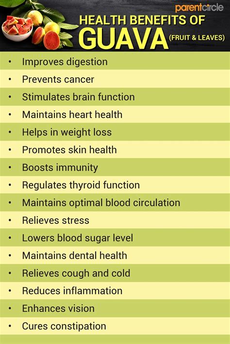 Health Benefits of Guava Fruit and Leaves, Guava Nutritional Value Per ...