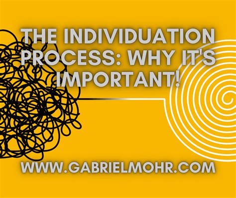 The Individuation Process: Why It’s Important! - Gabriel Mohr