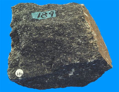 #427: Hornblende schist