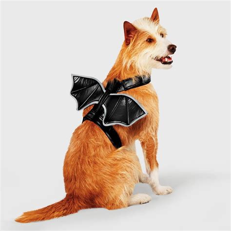 Bat Wings Halloween Dog Costume | Best Dog Costumes for Large, Medium ...