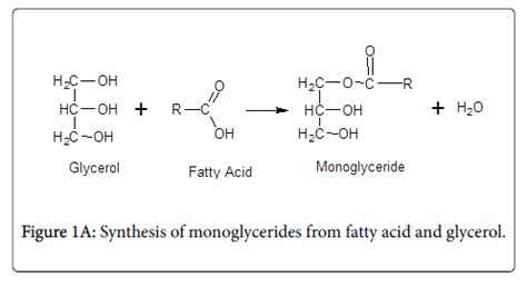 monoglyceride – Liberal Dictionary