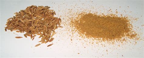 File:Cumin-spice.jpg - Wikipedia