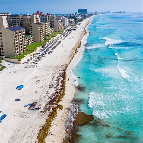 Sargassum Arrives On Cancun Beaches Early - Here’s What Travelers Need ...