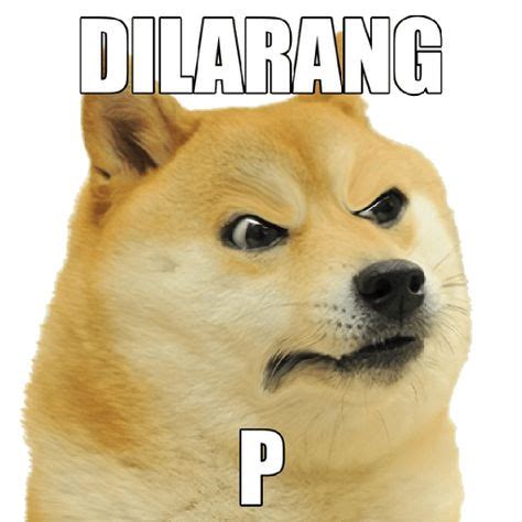 27+ Foto Meme Anjing | Abdi Gambar