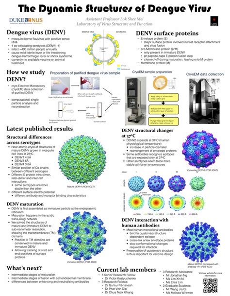 Laboratory of Virus Structure and Function - What we have been up to