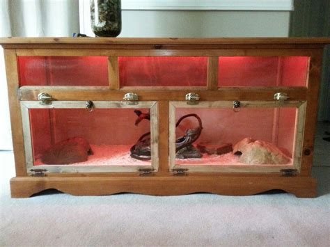 DIY Snake Enclosure | Snake enclosure, Diy reptile, Bearded dragon