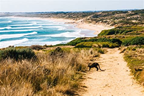 Walking Cape Woolamai on Phillip Island | FRUGAL FROLICKER