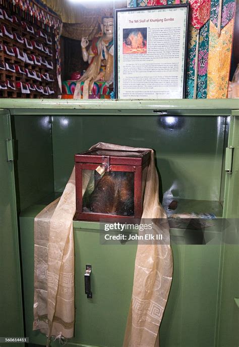 Sacred Yeti Skull High-Res Stock Photo - Getty Images