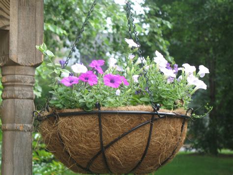 Ideas for Hanging Baskets | Garden Guides