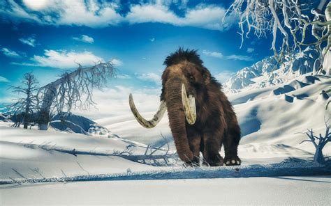 The mystery of frozen mammoth carcasses in Siberia