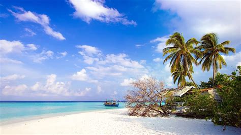 3 Nights - 4 Days Andaman Island - New Way Tourism