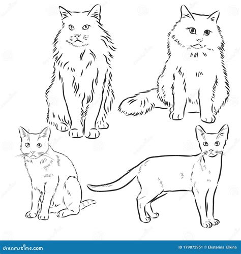 Cats Set, Vector Illustration, Hand-drawn Cute Fluffy Cats. Domestic ...