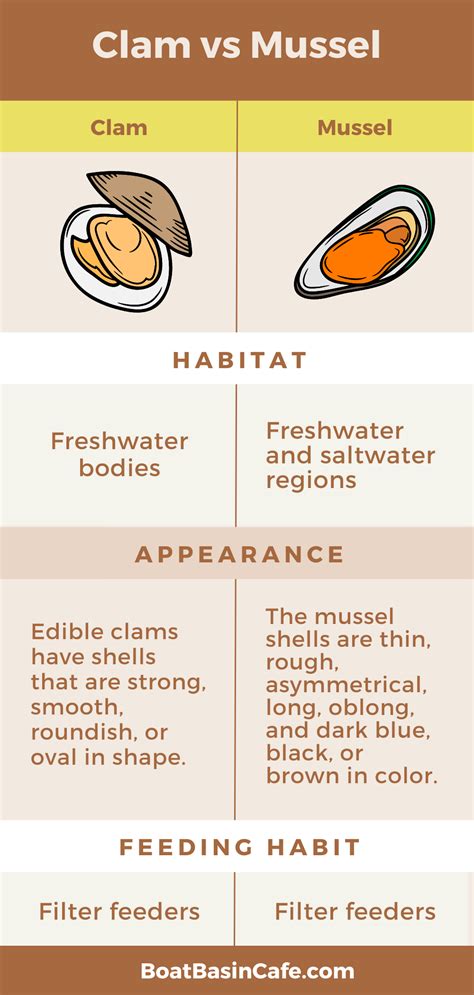 Clam Vs Mussel: Startling Differences You Had No Clue About!