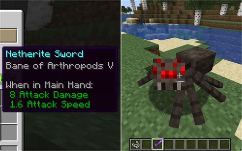 What does Bane of Arthropods do in Minecraft 1.19 update?