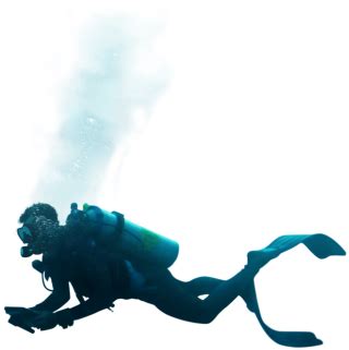 Diving PNG, Diving Transparent Background - FreeIconsPNG