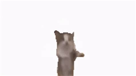 Schnapi Dancing Cat GIF - Schnapi Dancing Cat Meme - Discover & Share GIFs