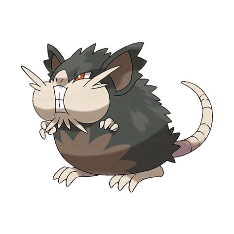 Raticate | Pokédex | The official Pokémon Website in Singapore