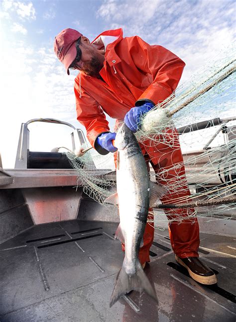 Copper River Salmon Season To Begin May 16