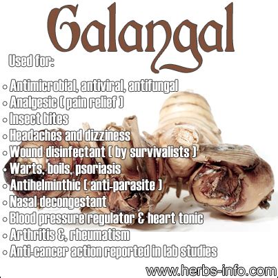 Galangal