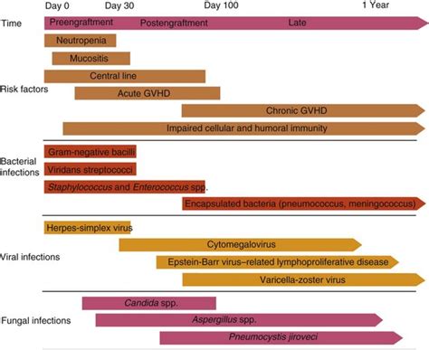 Complications After Hematopoietic Stem Cell Transplantation | Clinical Gate