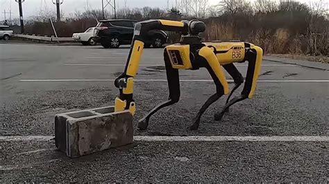 Boston Dynamics’ Robotic Dog, Spot, Can Finally Lend You A Hand