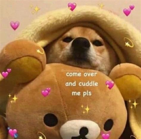 Come over and cuddle me pls | Cute memes, Cute love memes, Cuddling meme