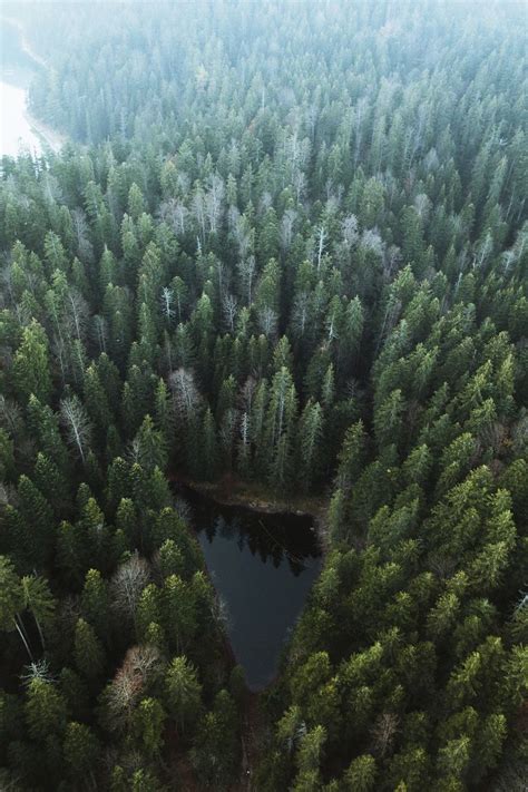 Drone shot Eibsee lake, Germany | Premium Photo - rawpixel