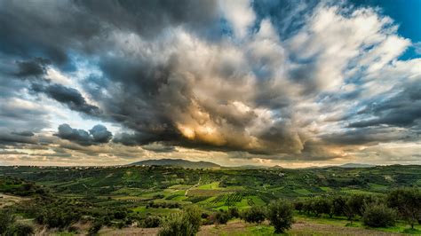 Green Forest Under Cloudy Sky · Free Stock Photo