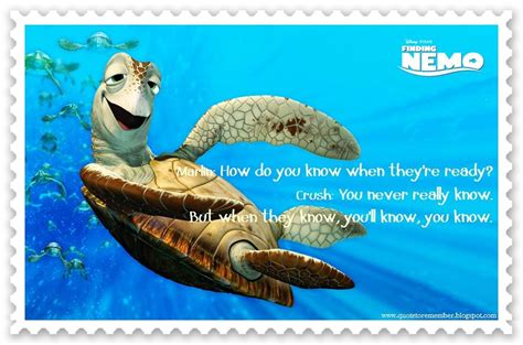 FINDING NEMO [2003] | Nemo, Finding nemo turtle, Finding nemo