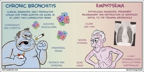 an image of chronic bronchitiss and empysema in the body