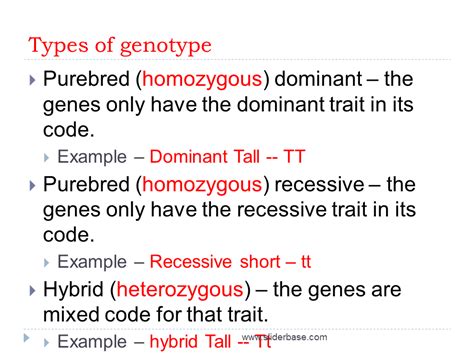 Genotype and Phenotype - Presentation Genetics