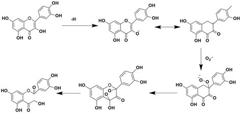 Superoxide radical scavenging mechanism by quercetin | Download ...