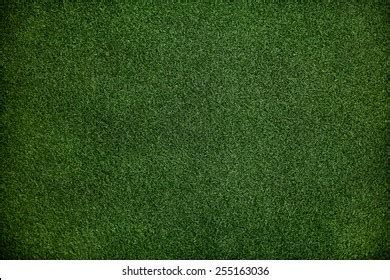 Dark Grass Texture Royalty-Free Images, Stock Photos & Pictures ...