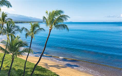 Maui Vacation Packages | CMS bloggen