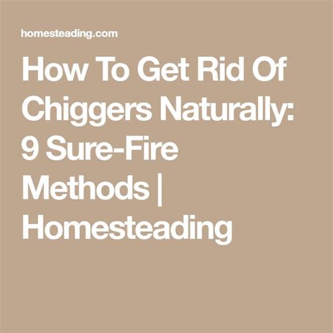 How To Get Rid Of Chiggers Naturally: 9 Sure-Fire Methods ...