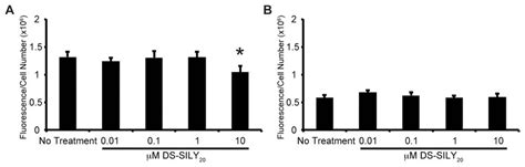 Protein Synthesis. Protein expression of (A) proliferative and (B ...