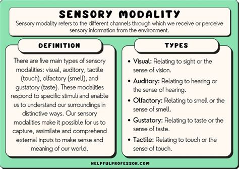 Sensory Modality: 10 Examples and Definition (2024)