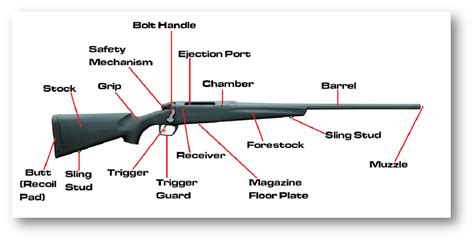 Parts Of A Rifle | Firearm Basics (2018) | Firearm Rack