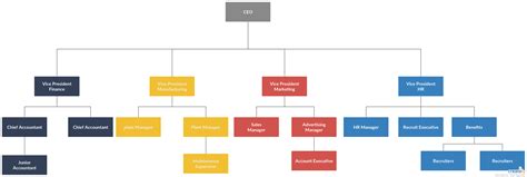 Organogram Example | Editable Organogram Template on Creately