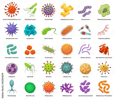 Bacteria and virus icons. Disease-causing bacterias, viruses and ...