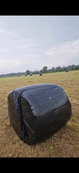 Round Silage Bales for sale in Co. Meath for €0 on DoneDeal