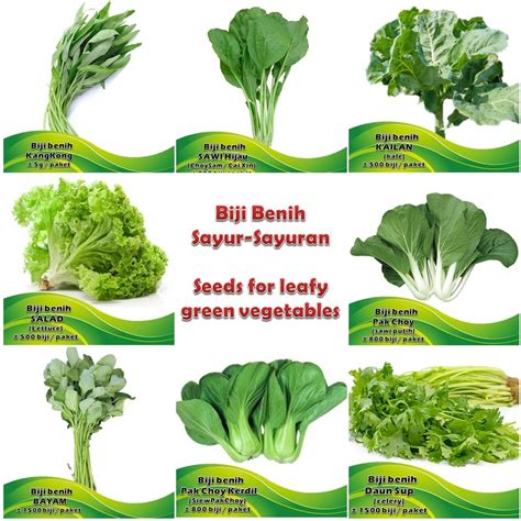 Biji Benih Sayur-Sayuran Hijau ekonomi - vegetable seed economy seeds ...