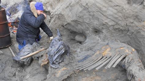 約4万5千年前のマンモスの骨発見で、人類の歴史が変わるかも | ギズモード・ジャパン